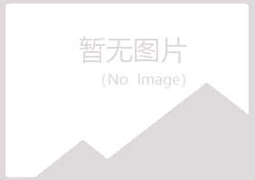 鹤壁淇滨冰夏采矿有限公司